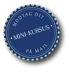 mini kursus